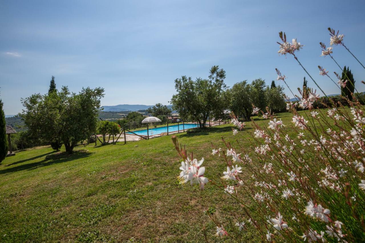 Agriturismo San Nicolo Montecastelli Pisano 외부 사진